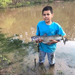 Meet your Posher, Manuel